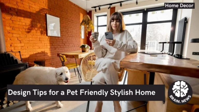Design Tips for a Pet Friendly Stylish Home